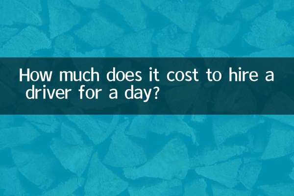 Quanto costa assumere un autista per un giorno?