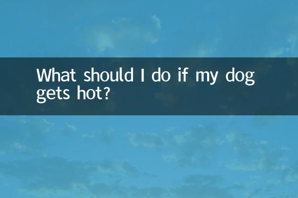 What should I do if my dog gets hot?