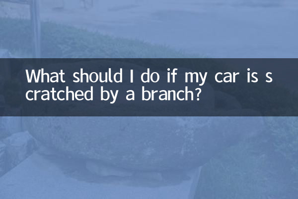 Cosa devo fare se la mia auto viene graffiata da un ramo?