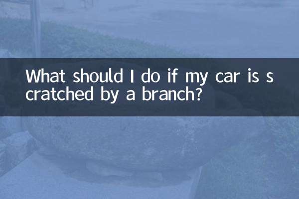 Was soll ich tun, wenn mein Auto von einem Ast zerkratzt wird?
