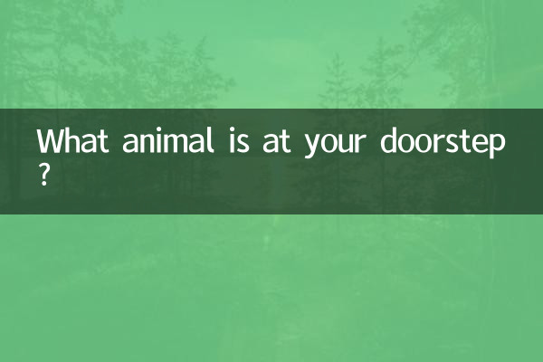 Welches Tier steht vor Ihrer Haustür?