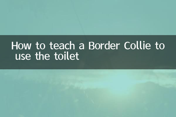 كيفية تعليم بوردر كولي لاستخدام المرحاض