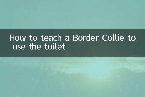 كيفية تعليم بوردر كولي لاستخدام المرحاض