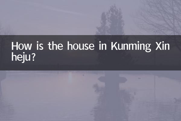 Com'è la casa a Kunming Xinheju?