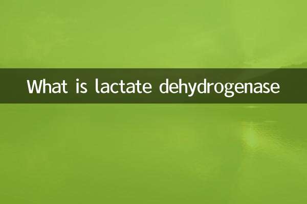 Cos'è la lattato deidrogenasi