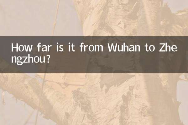 Quanto dista Wuhan da Zhengzhou?