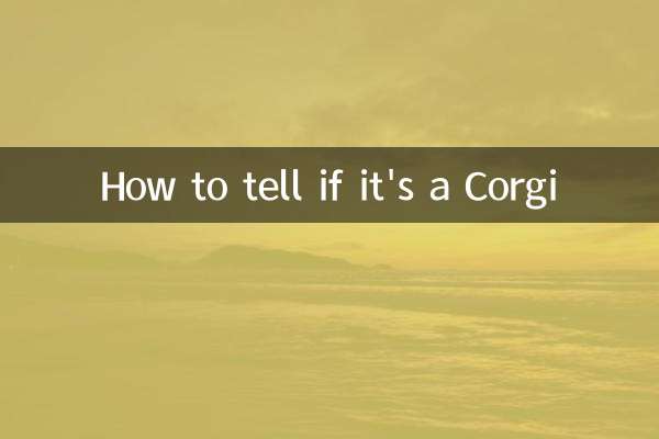 怎麼判斷是不是柯基