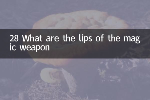 28 ¿Qué son los labios artefacto?