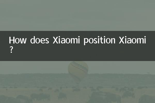 How does Xiaomi position Xiaomi?