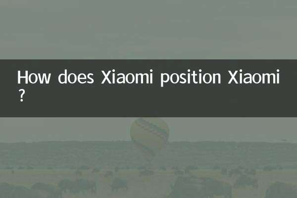 How does Xiaomi position Xiaomi?