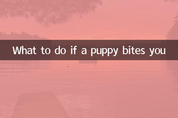 子犬に噛まれたらどうするか