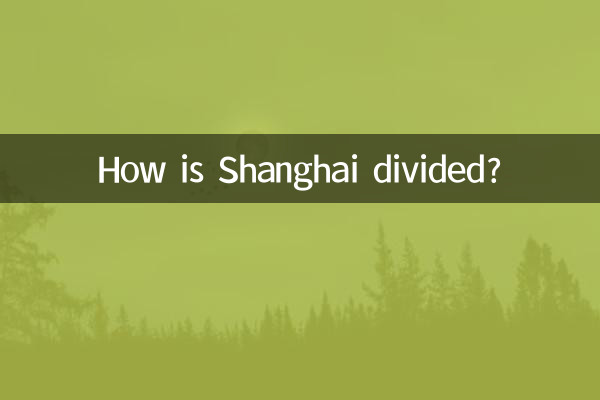 Como Xangai está dividida?