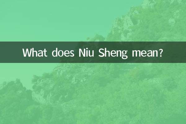Что означает Ню Шэн?