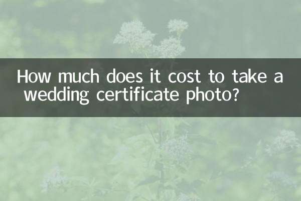 ¿Cuánto cuesta tomar una foto del certificado de boda?