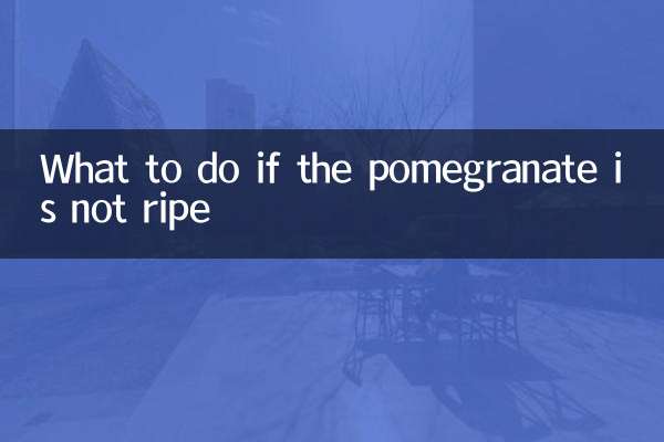 석류가 익지 않은 경우 어떻게 해야 합니까?