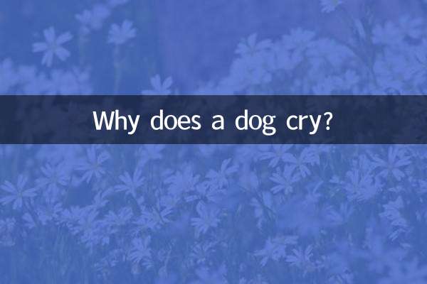 狗狗哭是怎麼回事