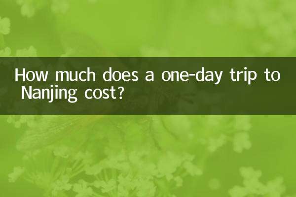 هزینه سفر یک روزه به نانجینگ چقدر است؟