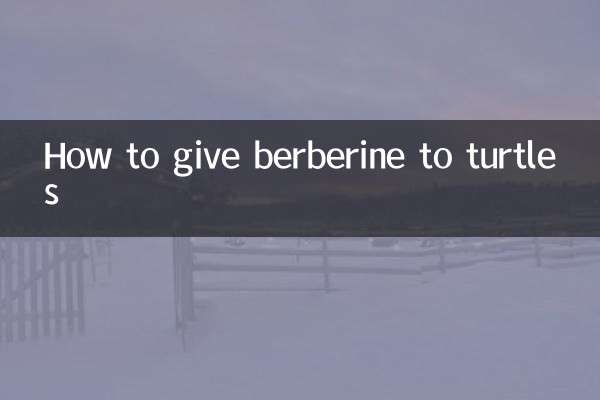 How to give berberine to turtles