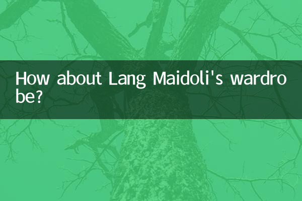 ラング・マイドリのワードローブはどうですか?