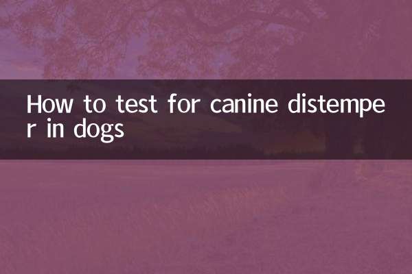 개 홍역 검사 방법