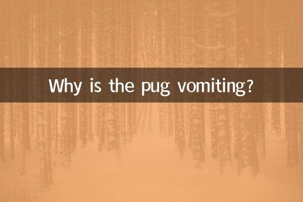 Perché il carlino vomita?