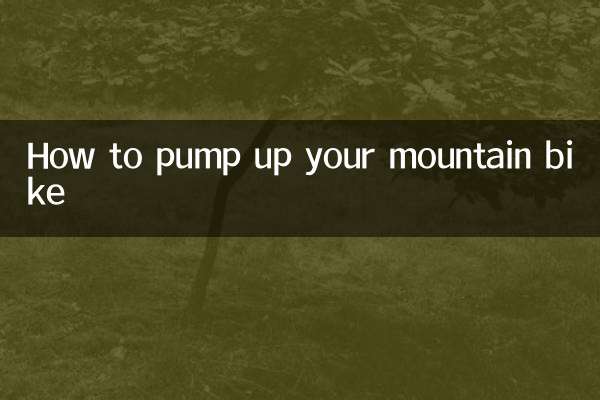 So pumpen Sie Ihr Mountainbike auf