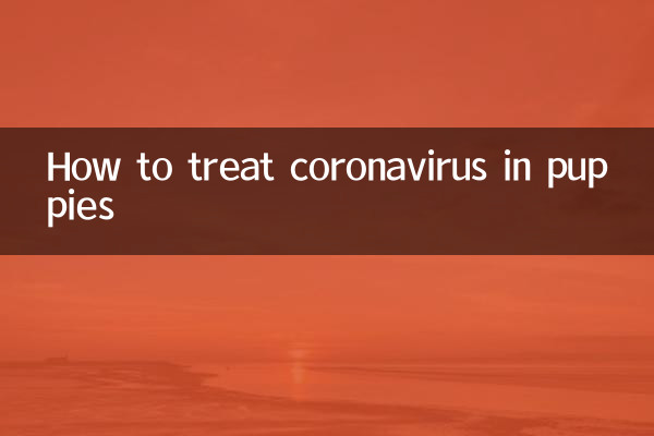 پپیوں میں کورونا وائرس کا علاج کیسے کریں