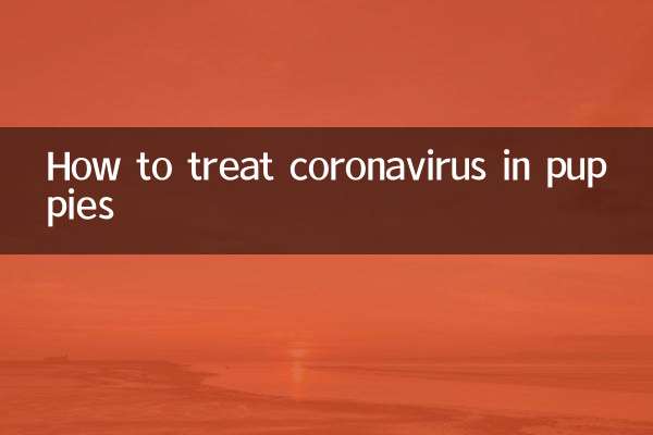 幼犬冠状病毒怎么治疗