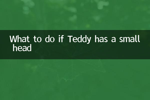 O que fazer se Teddy tiver uma cabeça pequena