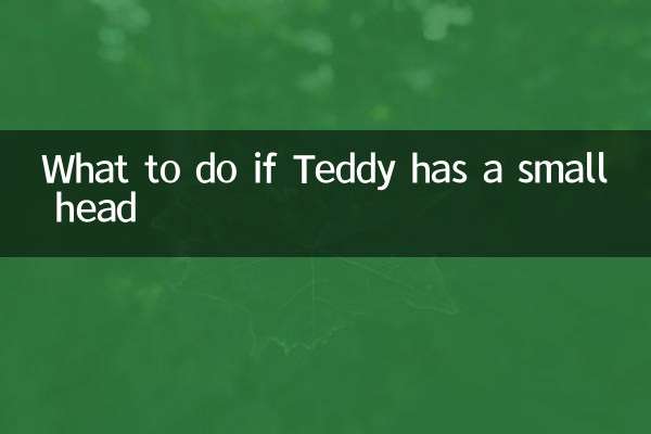 O que fazer se Teddy tiver uma cabeça pequena