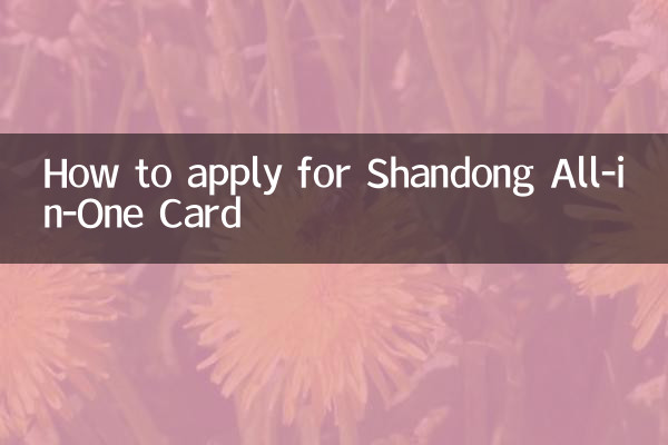 نحوه درخواست کارت All-in-One شاندونگ