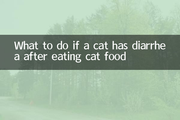 Что делать, если у кошки понос после употребления кошачьего корма