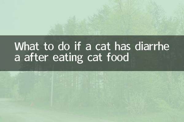Was tun, wenn eine Katze nach dem Verzehr von Katzenfutter Durchfall hat?