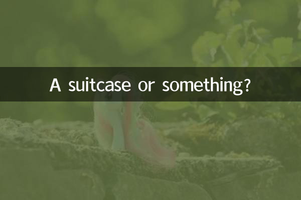 行李箱什麼的好