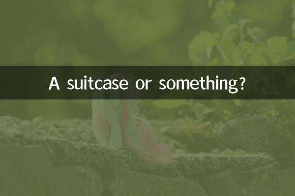 ¿Una maleta o algo así?