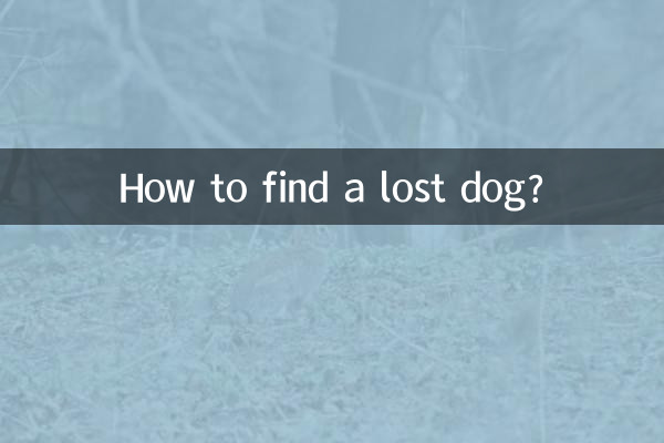 खोए हुए कुत्ते को कैसे ढूंढें?