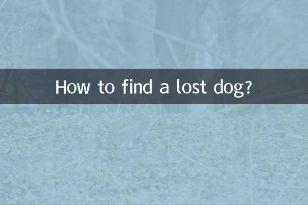 Come ritrovare un cane smarrito?