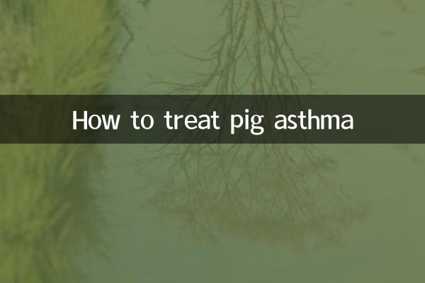 Como tratar a asma suína