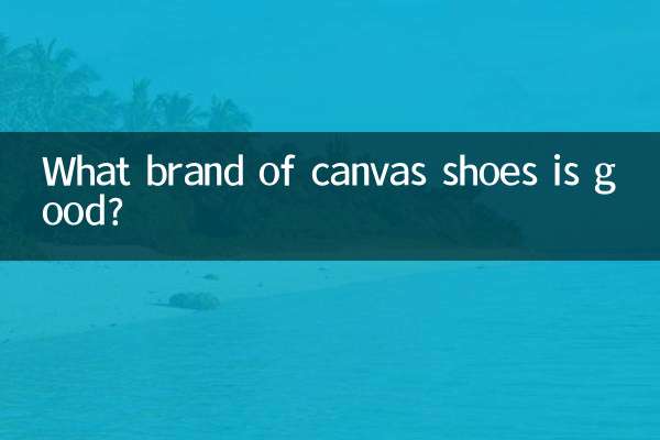 Quelle marque de chaussures en toile est la bonne ?
