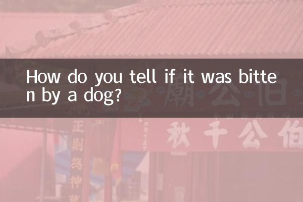 چگونه می توان تشخیص داد که توسط سگ گاز گرفته شده است؟