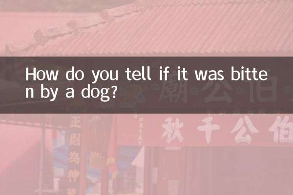 چگونه می توان تشخیص داد که توسط سگ گاز گرفته شده است؟