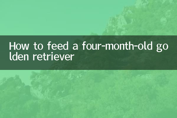 生後4か月のゴールデンレトリバーに餌を与える方法
