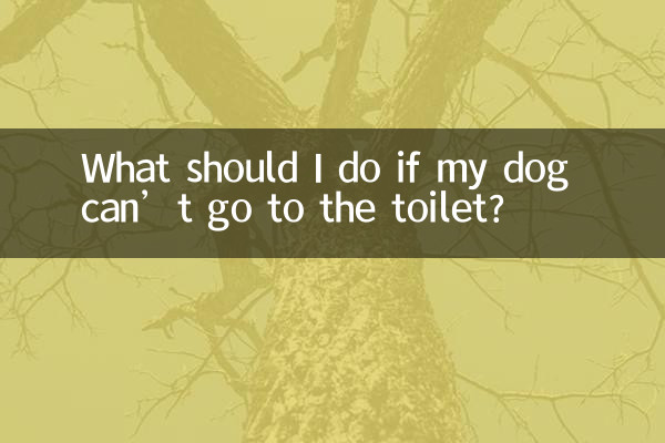 اگر سگم نتواند به توالت برود چه باید بکنم؟