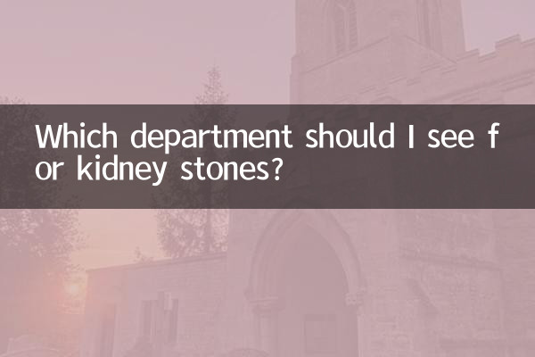 Qual departamento devo consultar para pedras nos rins?