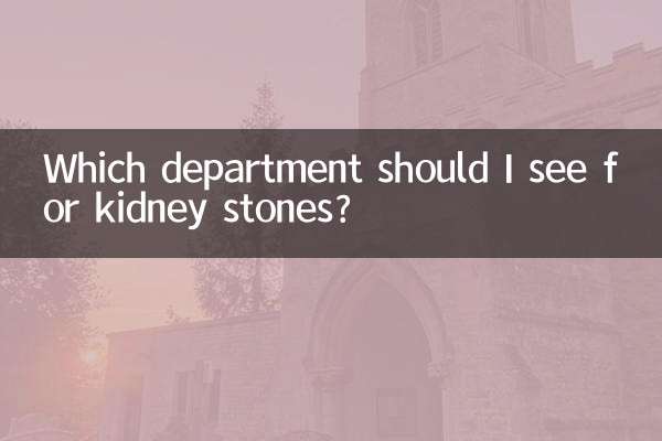 Quale dipartimento dovrei vedere per i calcoli renali?