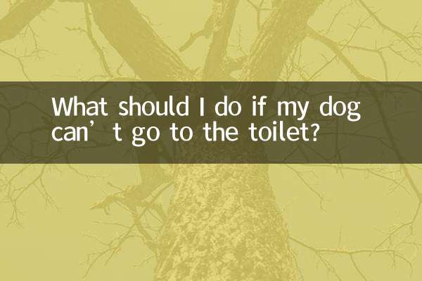 ماذا علي أن أفعل إذا كان كلبي لا يستطيع الذهاب إلى المرحاض؟