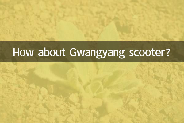 Que tal a scooter Gwangyang?