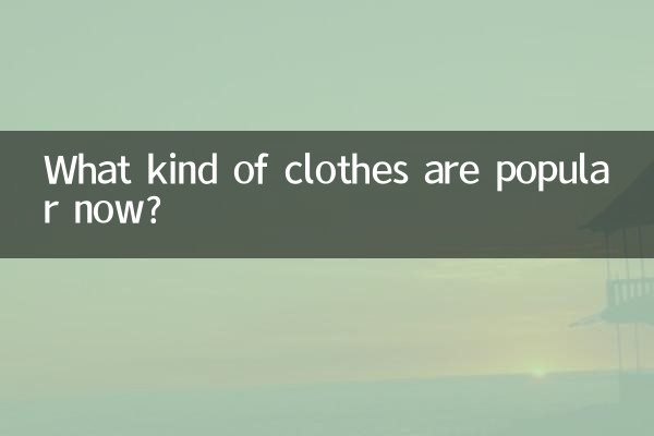 現在流行什麼範的衣服