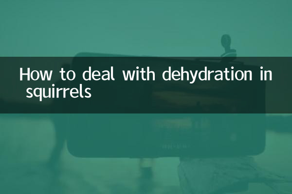Como lidar com a desidratação em esquilos