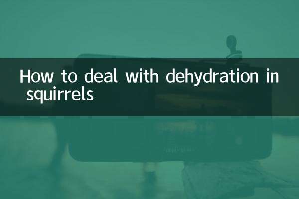 Como lidar com a desidratação em esquilos
